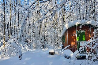 Waldkindergarten an der Vogelweide