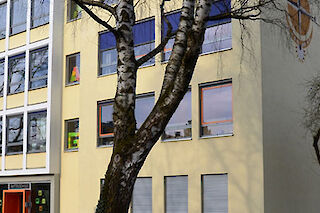 Mittelschule Dachau Ost